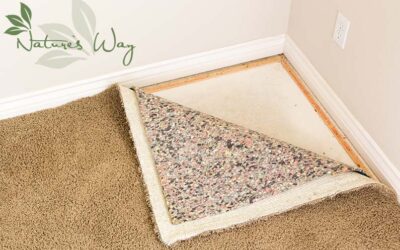 Does your cleaning soak the backing and padding of the carpet?