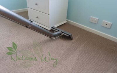 What process do you use to clean carpet?